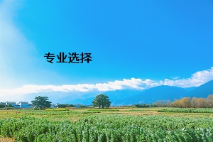 專業選擇