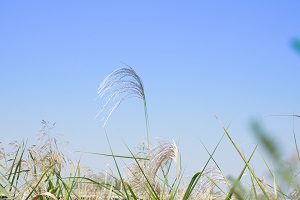 調整心理狀態