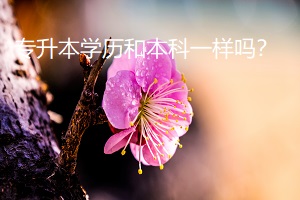 專升本學歷和本科一樣嗎？