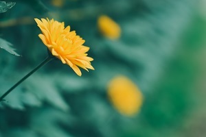 精做真題，查缺補漏
