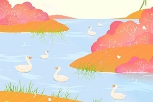 基礎不太好能報考專升本嗎？專升本什么時候開始準備比較好？