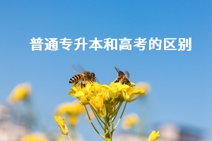 普通專升本和高考之間有什么差別？哪個更難考？