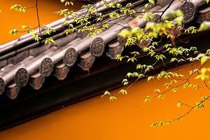 普通專升本備考的第一步是先擇校還是先選專業？