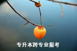全日制統招專升本考試能跨專業報考嗎？有何限制？