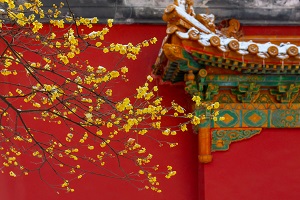 全日制普通專升本和本科有區別嗎？哪些地方是不同的？