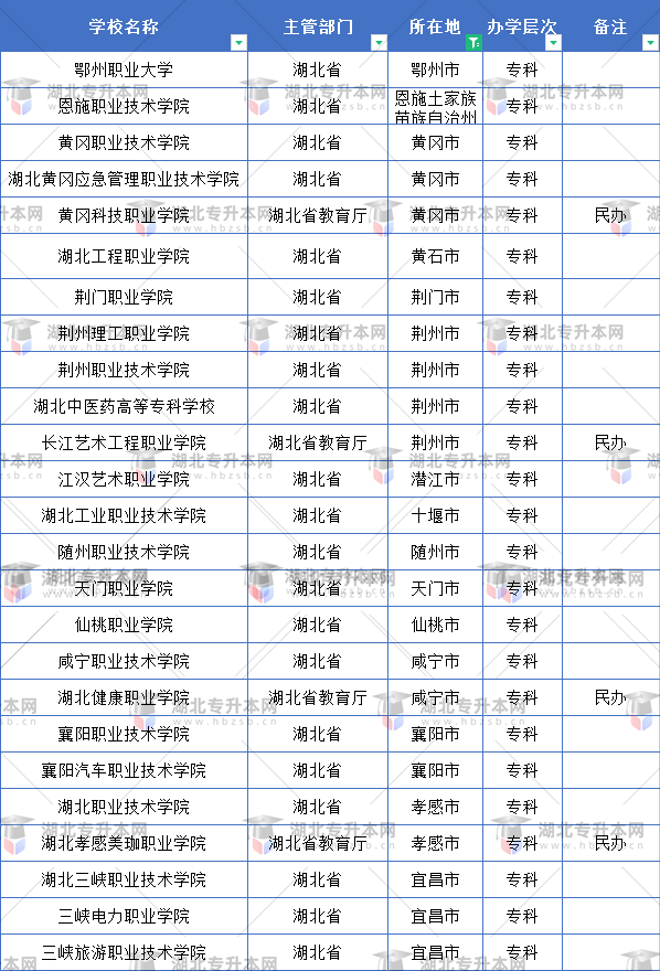 武漢市外的?？茖W校