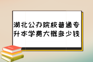 湖北公辦院校普通專升本學費大概多少錢？
